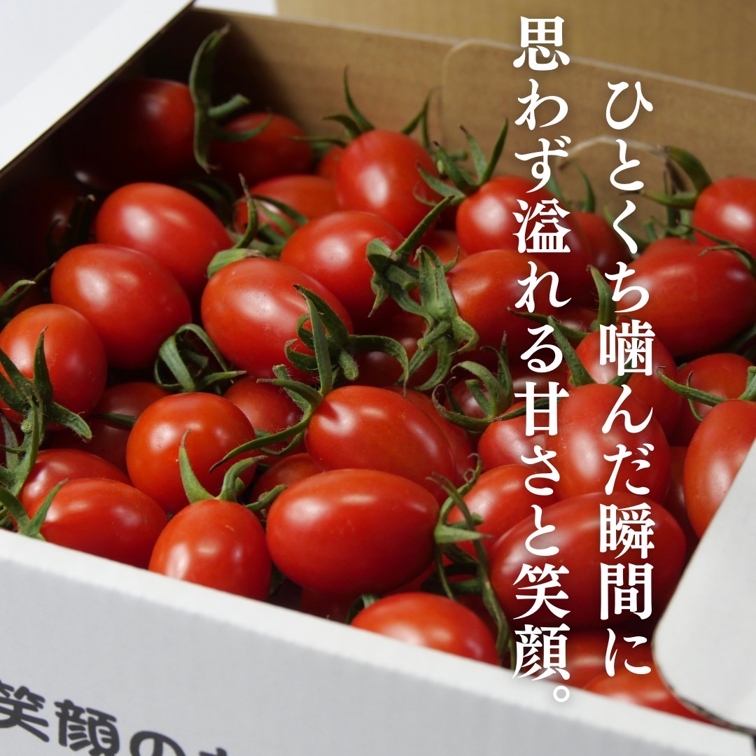 トマランタンのご紹介🍅